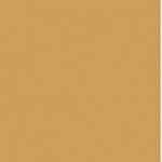 Paint and Paper Library Divine Brown Paint